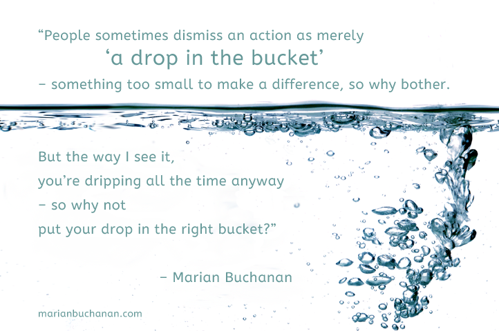 “People sometimes dismiss an action as merely ‘a drop in the bucket’ – something too small to make a difference, so why bother. But the way I see it, you’re dripping all the time anyway – so why not put your drop in the right bucket?” 
– Marian Buchanan
marianbuchanan.com